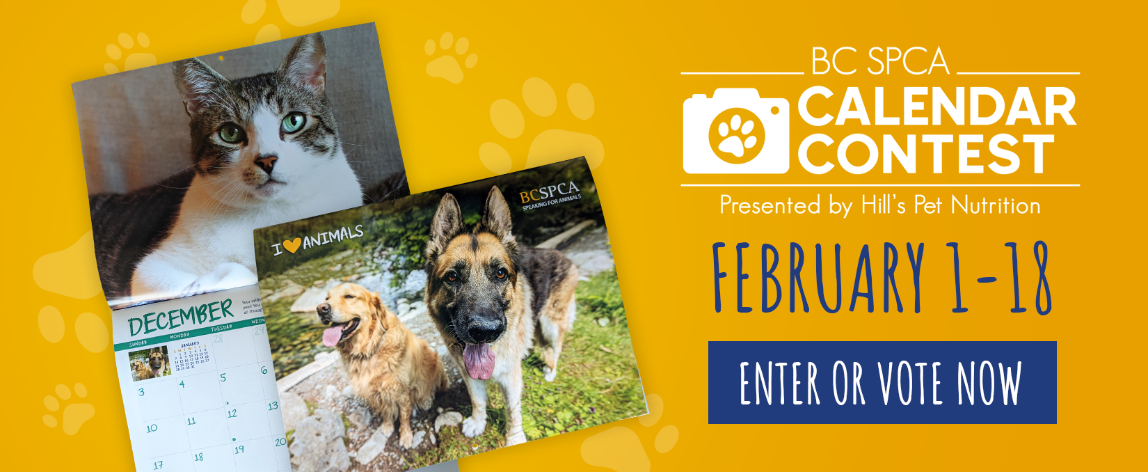 Enter your pet in the BC SPCA’s Calendar Contest, Feb 1–18