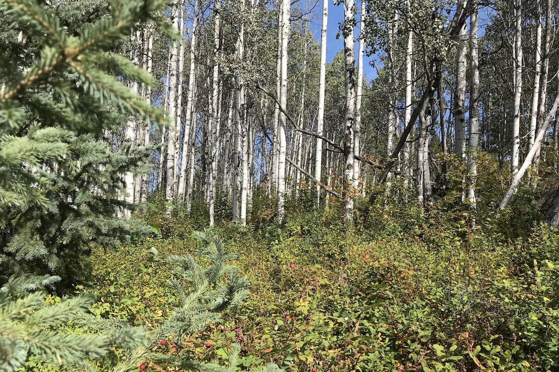 Province putting regulations in place to protect ecological reserves