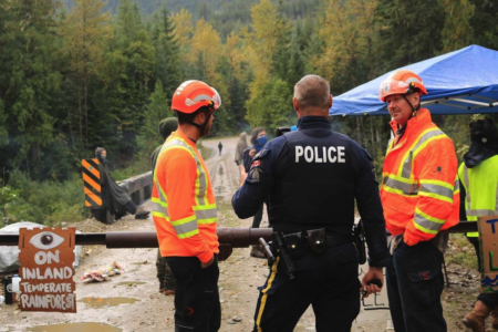 Last Stand West Kootenay halt logging at Duncan Reservoir