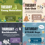 Youth Programs at the Rossland Museum