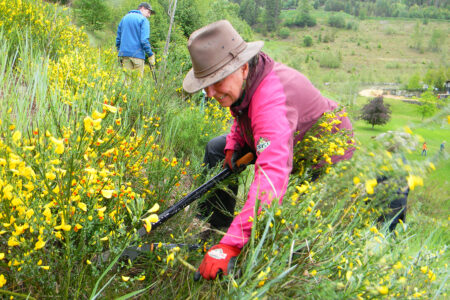 Introducing the Kootenay Broom Busters Program