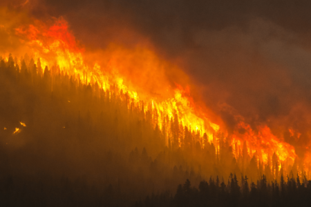 LETTER: Environmental and health groups issue open letter to all political leaders concerning Jasper Wildfires