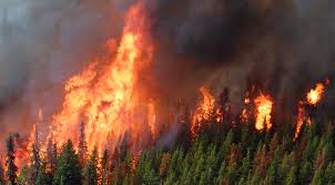 Investigation into devastating 2021 Lytton wildfire reaches a conclusion