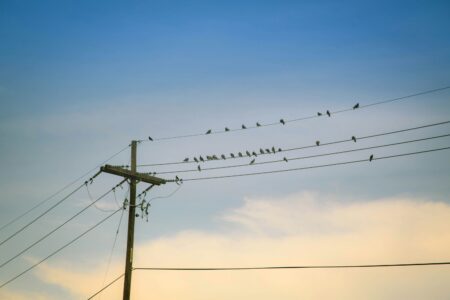 Fire season -- prepare for power outages