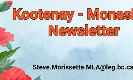 MLA speaks to Remembrance Day