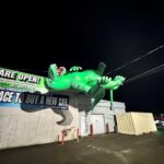 BC Hydro’s most memorable outages 2025:  Buzzing bugs, slippery fish, and a flying Godzilla