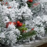 Four school strategies for inclusiveness around holidays