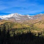 Increasing protection of important wildlife habitat with land additions