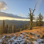 SRRAC defeats two court challenges by WHY after winning an injunction