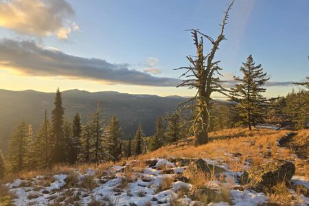 SRRAC defeats two court challenges by WHY after winning an injunction