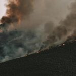 Dementia and wildfires: Planning for summer heat and climate emergencies