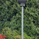 DriveSmartBC: Are Intersection Safety Cameras Effective?