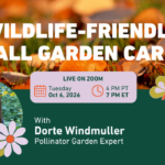 Free Webinar: Let’s rethink the traditional fall garden clean-up