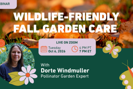 Free Webinar: Let’s rethink the traditional fall garden clean-up