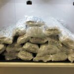 BC RCMP: Cannabis smuggler caught in the act, pleads guilty