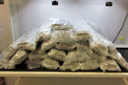 BC RCMP: Cannabis smuggler caught in the act, pleads guilty